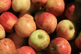 Apple "Jonagold" 10lb $2.80/lb or 20lb $2.50/lb