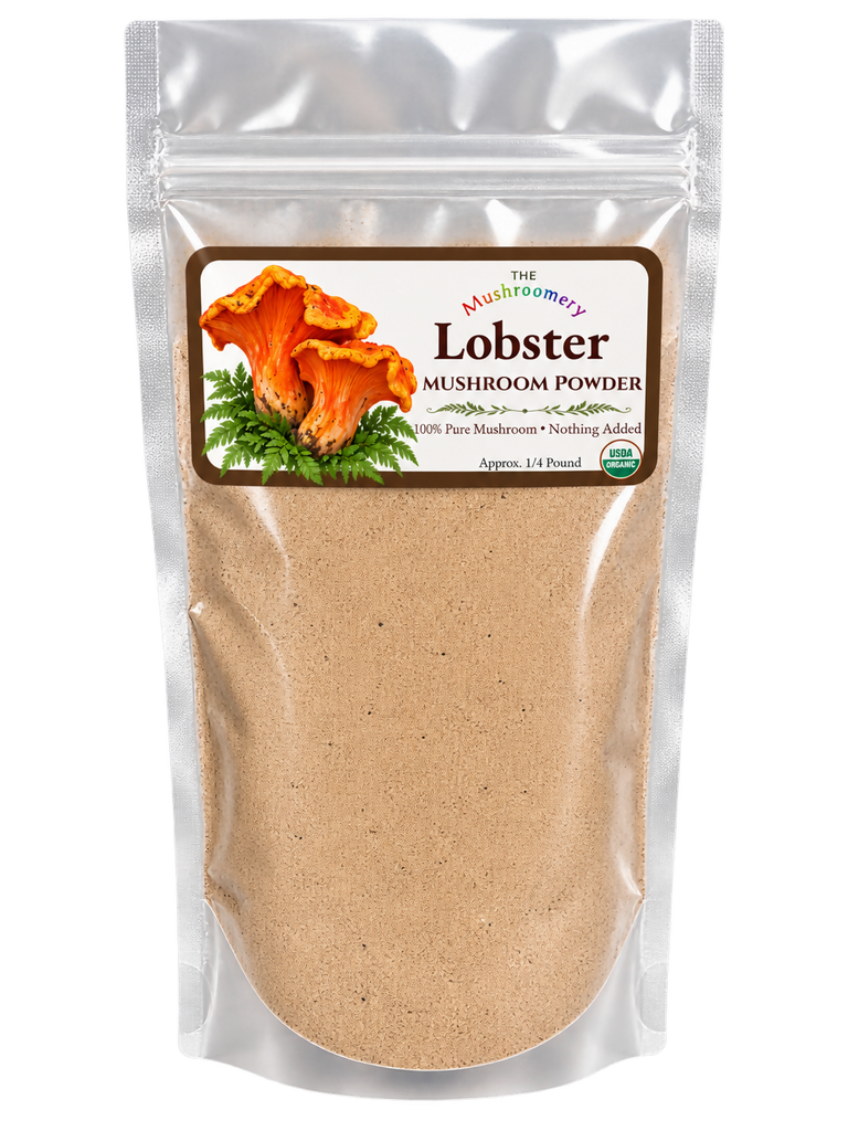 Lobster Mushroom Powder - Certified Organic - 1/4 Pound