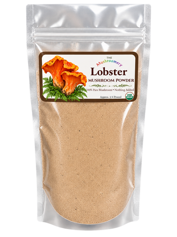 Lobster Mushroom Powder - Certified Organic - 1/4 Pound