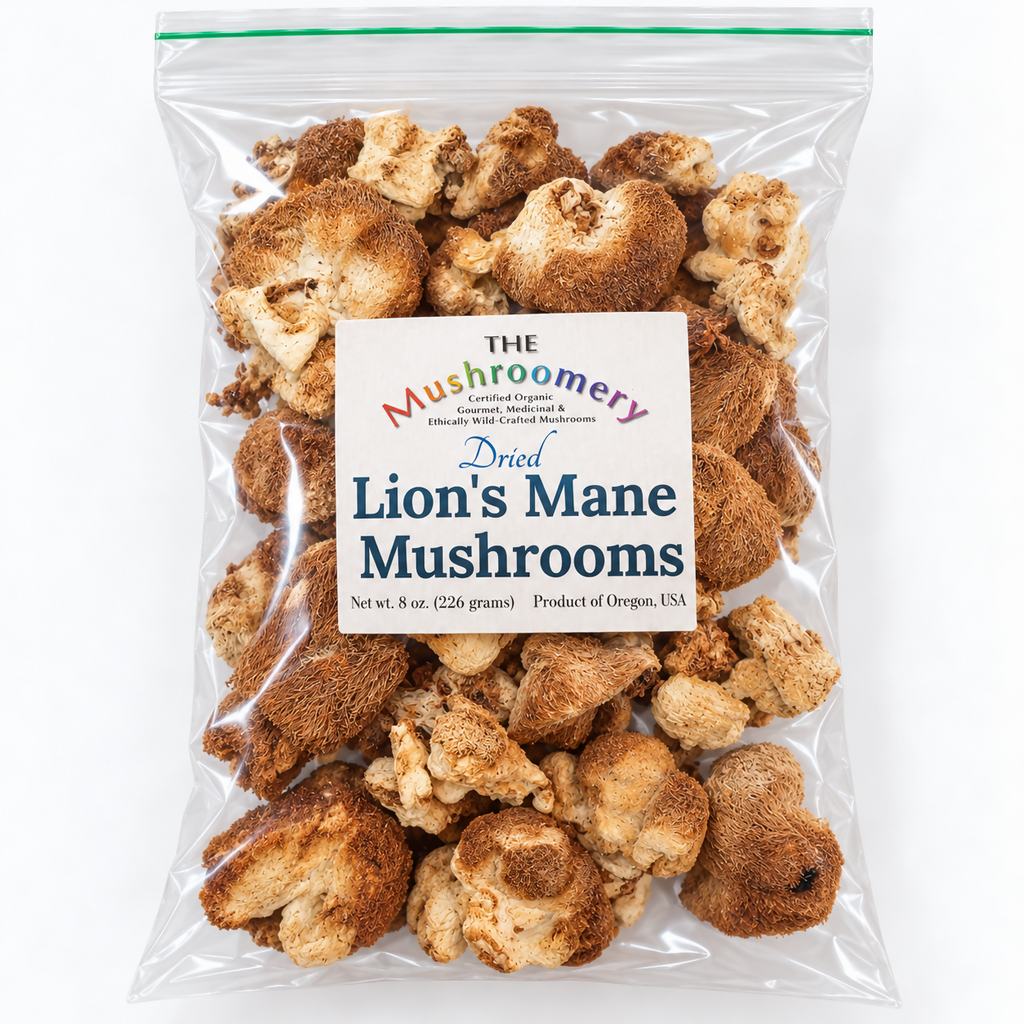 Dried Lion's Mane Mushrooms - certified organic - 1/2 Pound