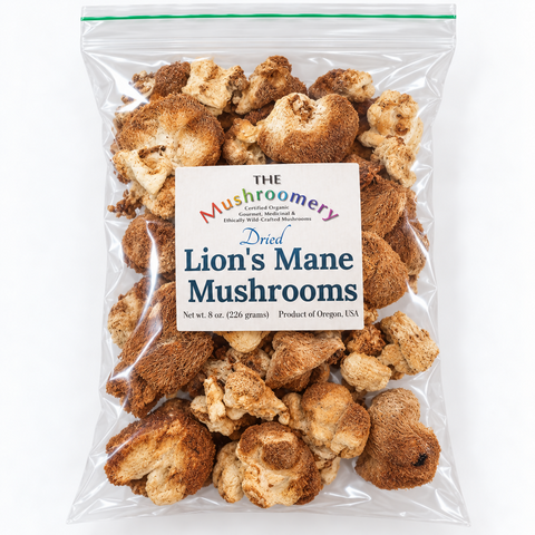 Dried Lion's Mane Mushrooms - certified organic - 1/2 Pound