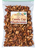1/4 Pound Dried Candy Cap Mushrooms - certified organic