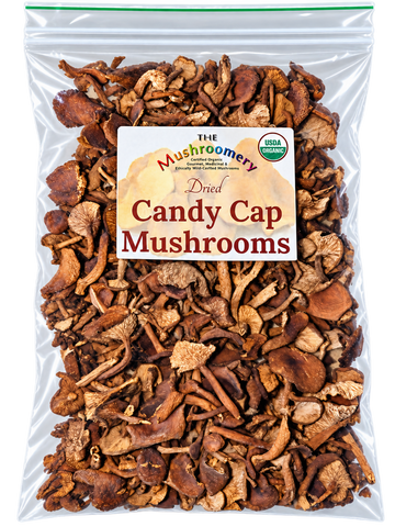 1/4 Pound Dried Candy Cap Mushrooms - certified organic