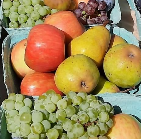 grape apple basket
