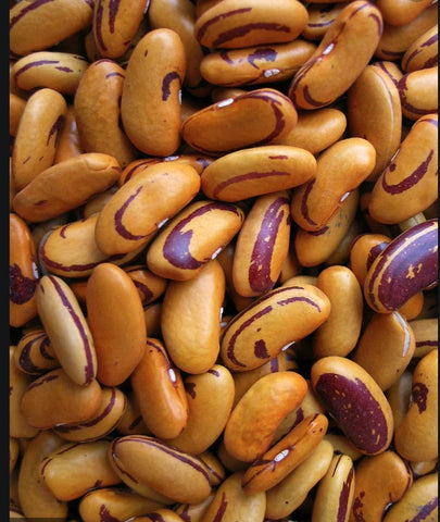 Dry bean: Tiger's Eye organic
