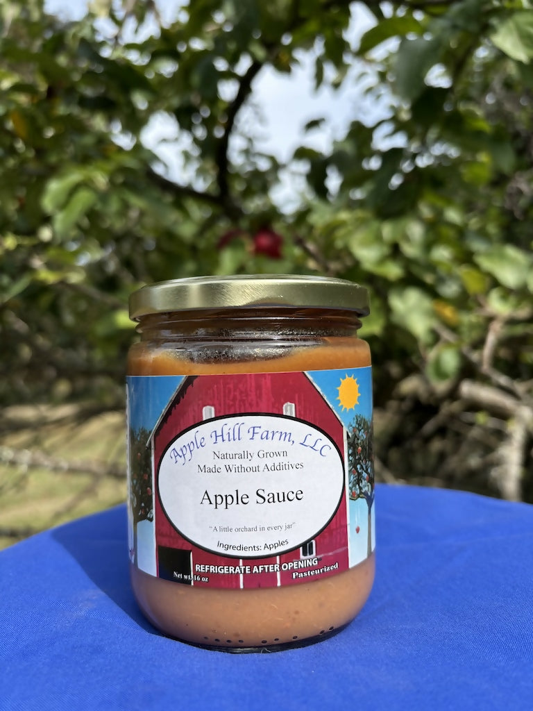 Regular Applesauce