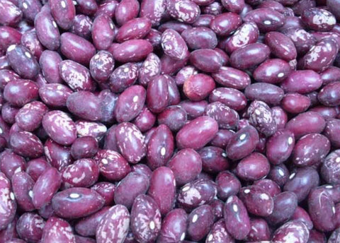 Dry bean: Whipple organic