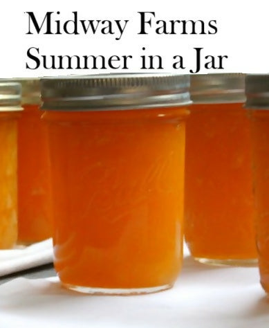 Sunset Plum Jam 8oz ~ GF, DF, V, Soy & Corn Free