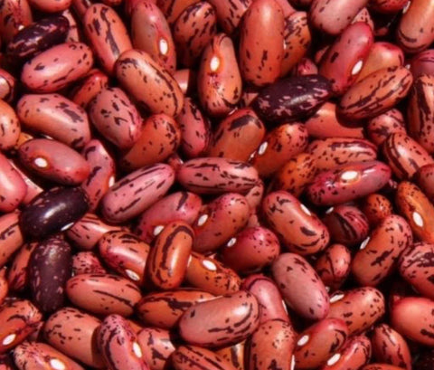 Dry bean: Rosso di Lucca organic