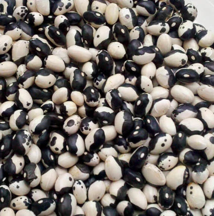Dry bean: Orca organic