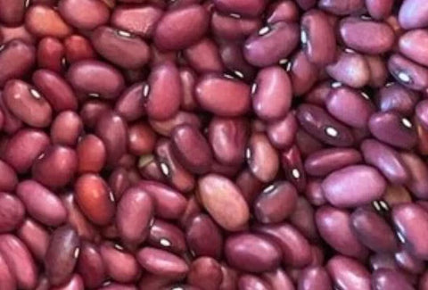 Dry bean: Mexican Red organic