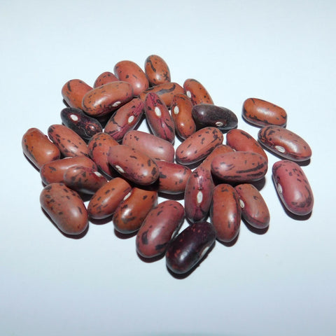 Rosso Di Lucca - Italian Red Beans