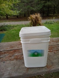 Meadowfoam Honey