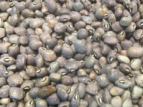 Dry bean: Blue Goose cowpea organic