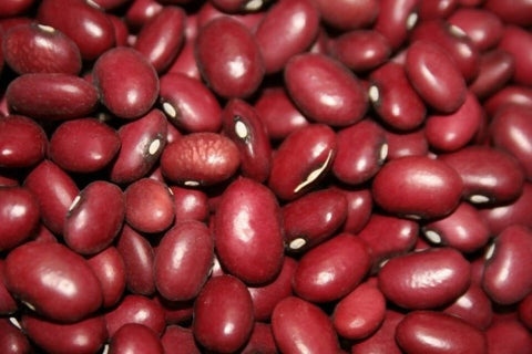 Bean ~ Red Mexican Heirloom 3lbs