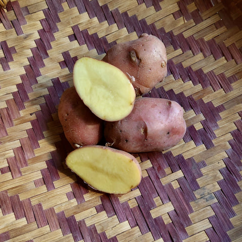 Desiree potatoes, Organic