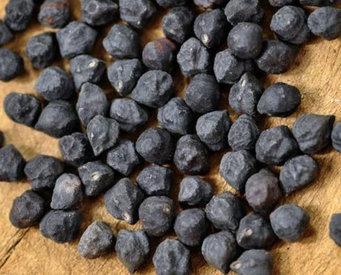 Dry bean: Black Kabouli garbanzo organic