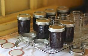 Blueberry Jam 8oz