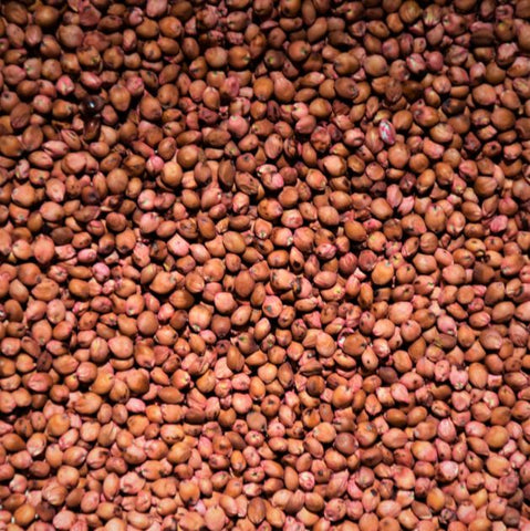 Sudan Grass (LOCAL PRODUCT)