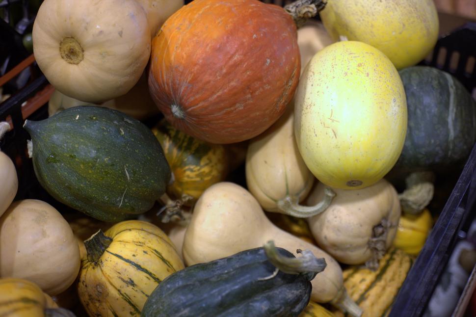 Lots of different winter squash