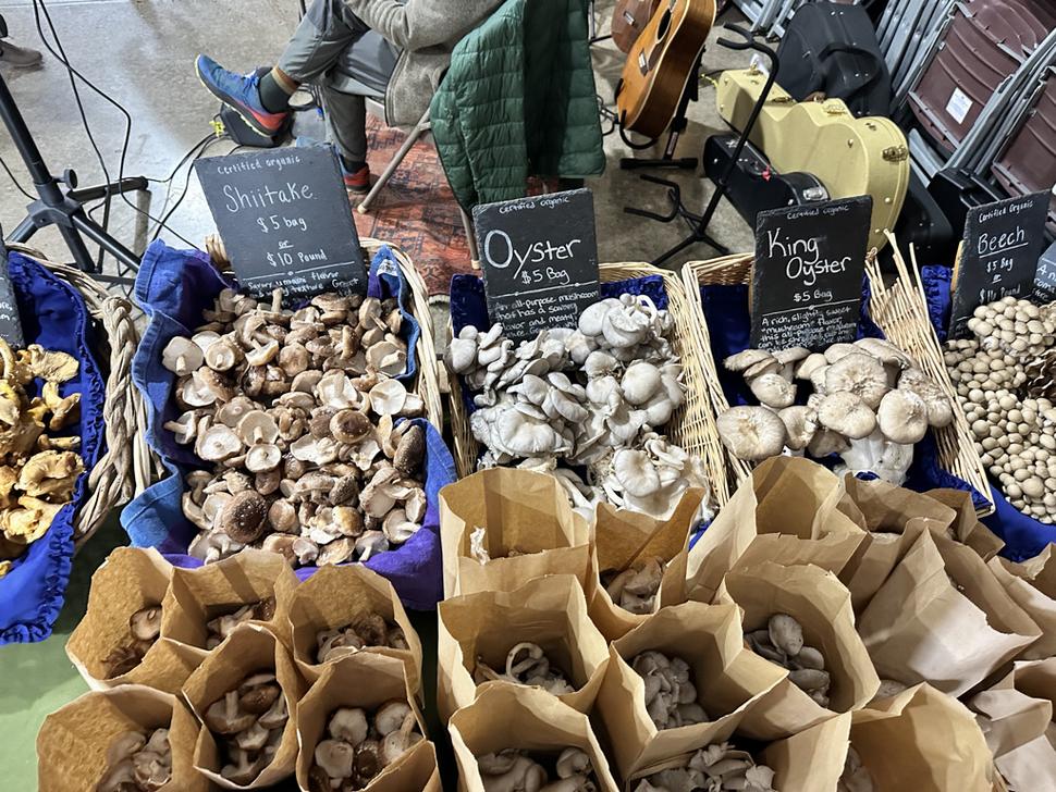 Fresh mushrooms for sale at Fill Your Pantry